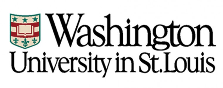 spicy-WashUlogo.jpg