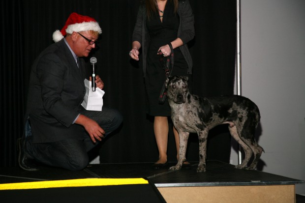 15th Annual Hope for the Holidays Gala