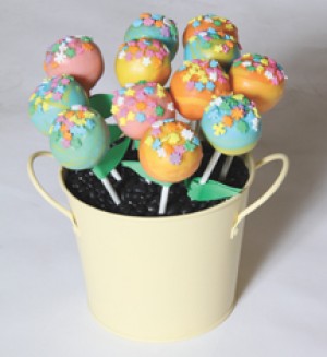 2ndPlaceCakePop.jpg