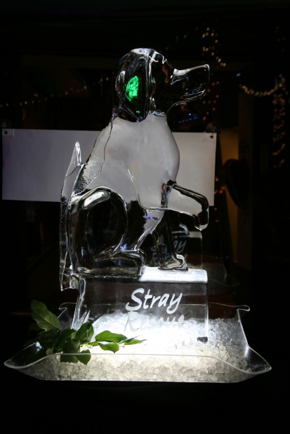 15th Annual Hope for the Holidays Gala