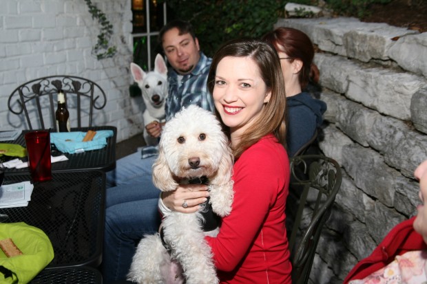 Dogs' Night Out