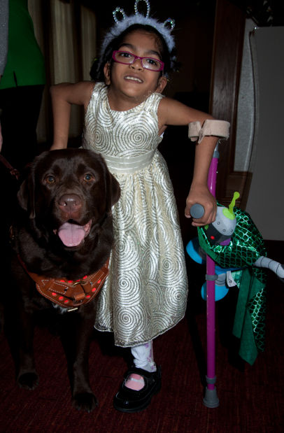 Support Dogs Tacky Ball