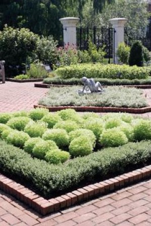 A Garden of Box and Bay  