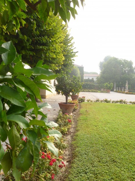 gardenDdiB