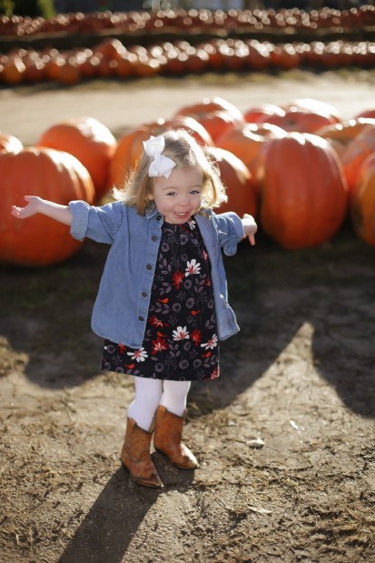 pumpkin4