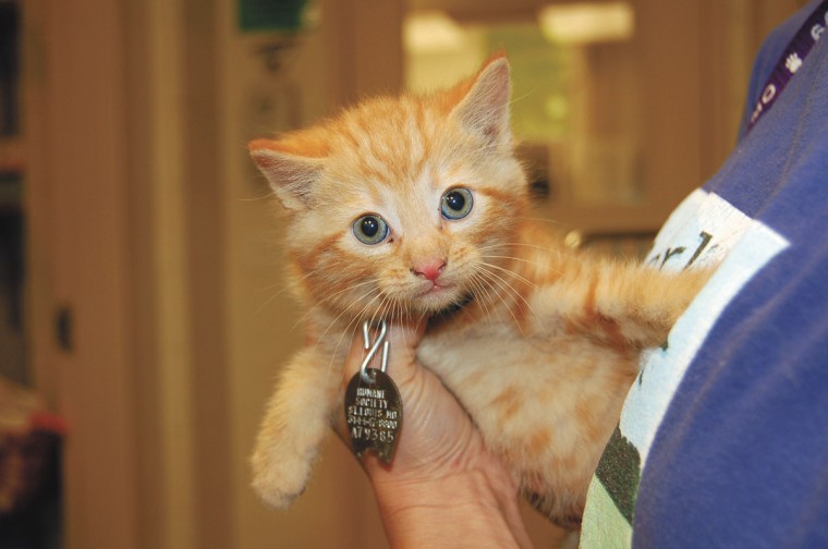 petfeature_0511.jpg