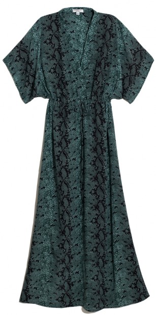 1366-saline-silk-cdc.jpeg.jpg
