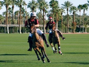 Palm Springs Beyond Golf 