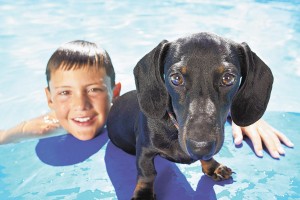 Pet4