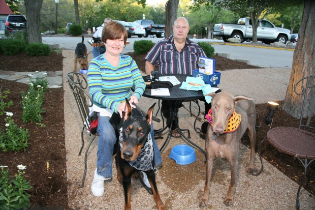 Dogs' Night Out