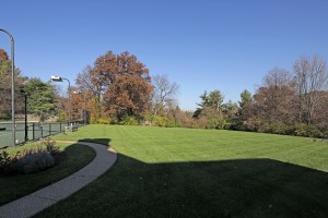 WindingRidge10123VW2.jpg