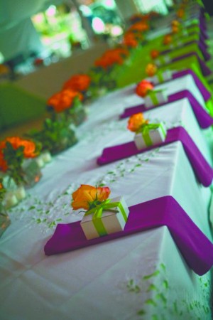 wedtip2_0217.jpg