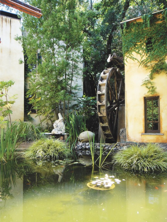 EL_travel_pond0613.jpg