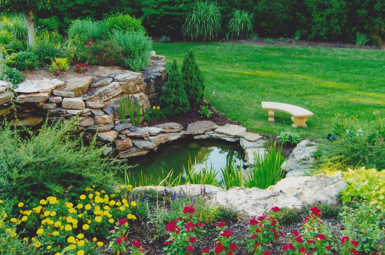 dp1-pond_0831.jpg