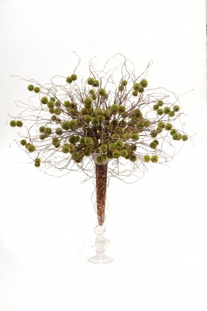 nancy10 Twigs Moss.jpg