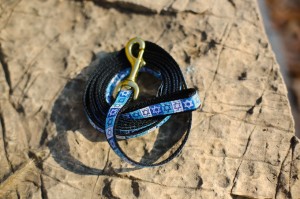 IMG_7725ed.jpg