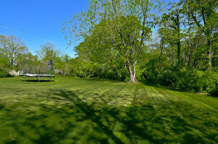 dp-yard_0914.jpg