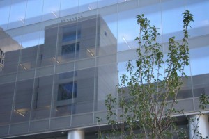 Centene building2