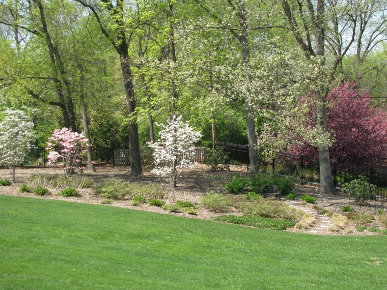 4 - 27 Twin Springs Lane-Yard.jpg