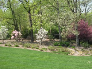 4 - 27 Twin Springs Lane-Yard.jpg