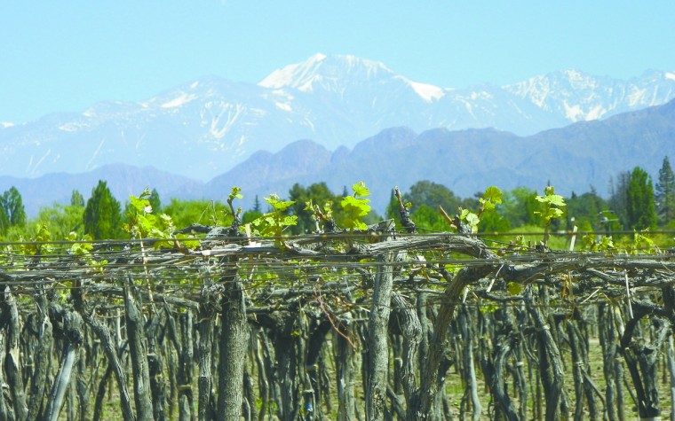WineLife_0224.jpg