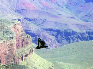 travel6_0819.jpg