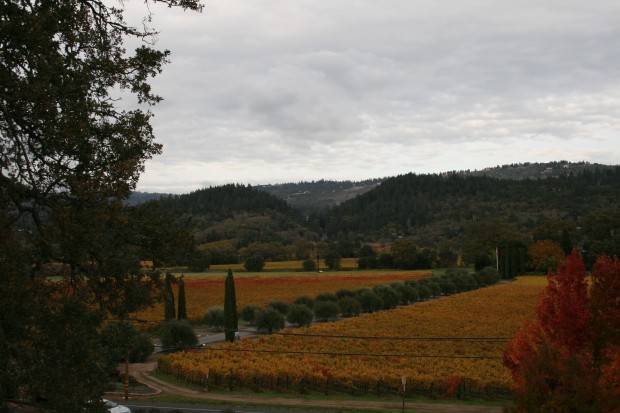 Scenery 2