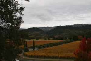 Scenery 2