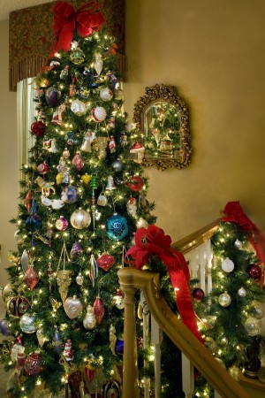 in fine style 1221 1433.jpg