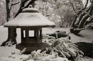 december landscape