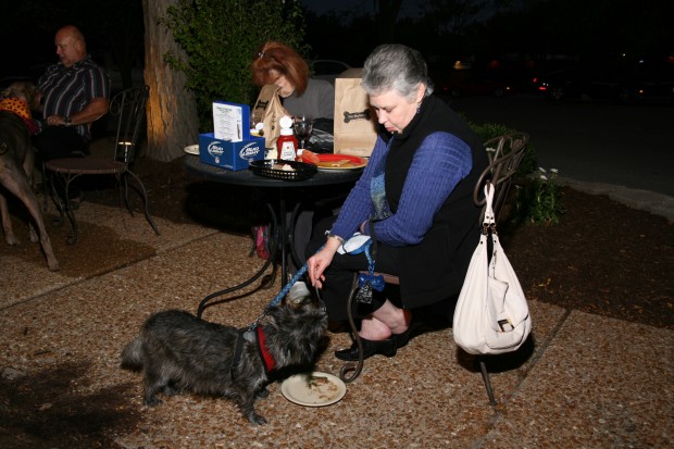 Dogs' Night Out