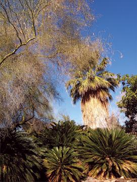Palm Springs Beyond Golf 