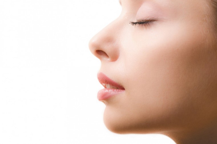 Aesthetica-profile.jpg