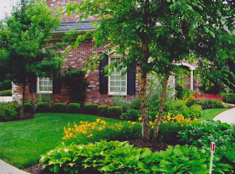 dp1-outdoor4_0831.jpg