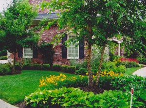 dp1-outdoor4_0831.jpg