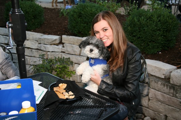 Dogs' Night Out