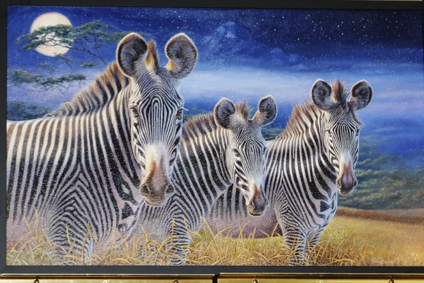 Zoofari