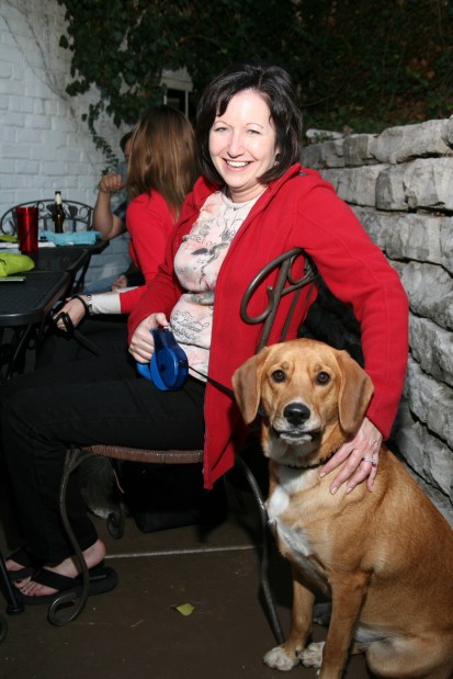 Dogs' Night Out