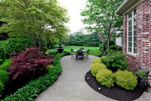 dp1-outdoor3_0831.jpg