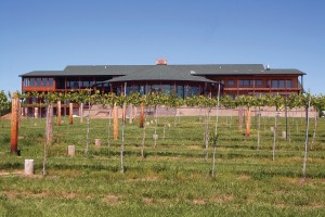 winefeature_0525.jpg