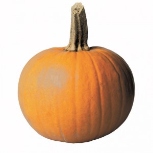 spicy-pumpkin