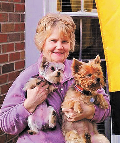 pet4-solari_0727.jpg
