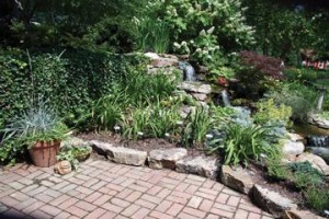 The Garden Tour  