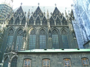 vie-352_0330.jpg