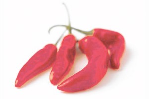 Spicy-Ancho_0921.jpg
