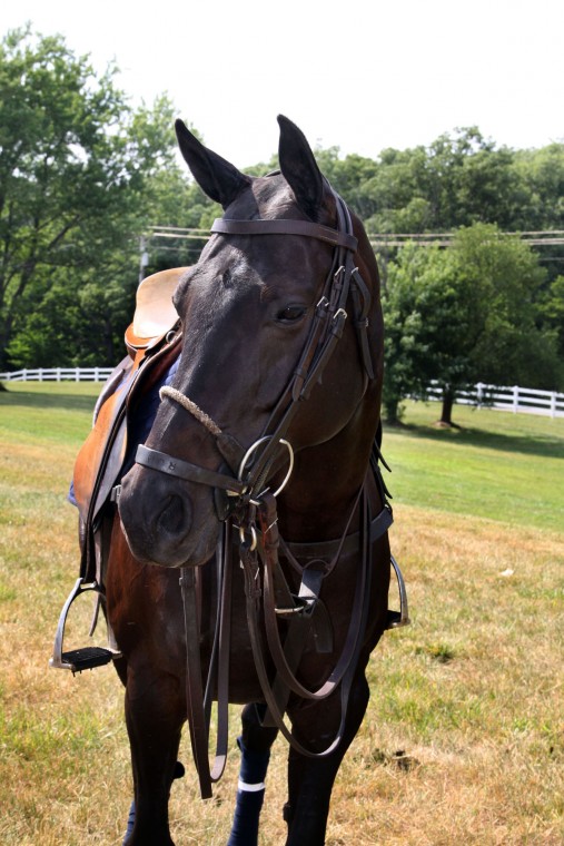 Epworth's 17th Annual Charity Polo Match
