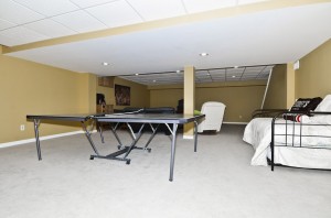 dp-basement_0914.jpg