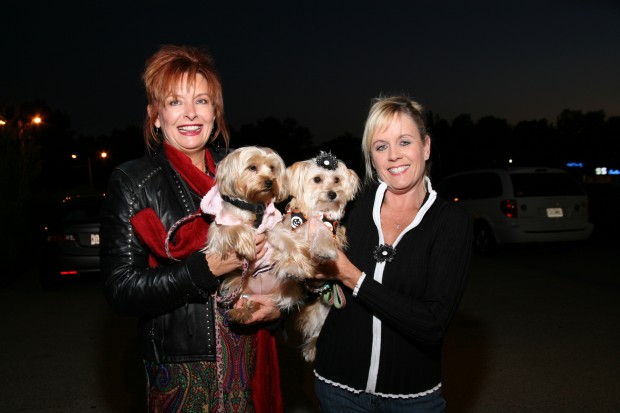 Dogs' Night Out