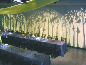 PP_Lighting_0316.jpg