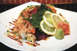 plat3_tani_0323.jpg
